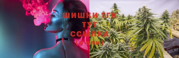дживик Осинники