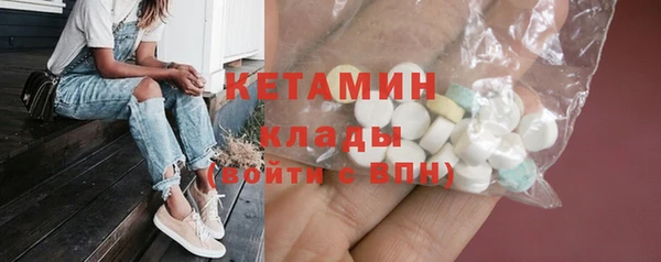 индика Няндома