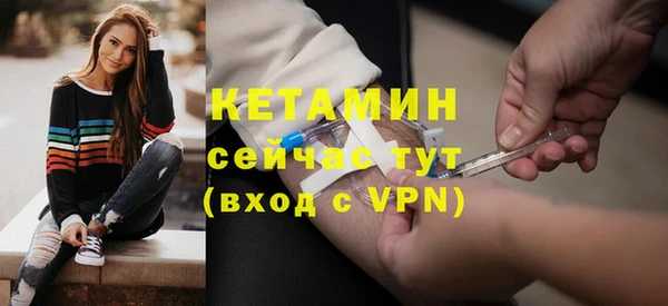 индика Няндома