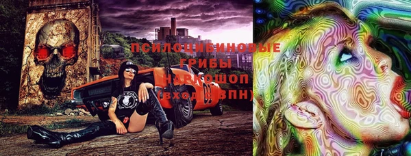 не бодяженный Осташков