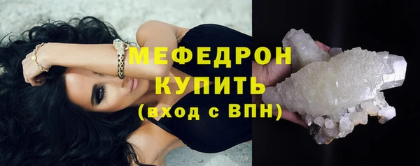 индика Няндома
