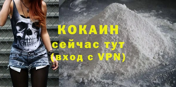 индика Няндома
