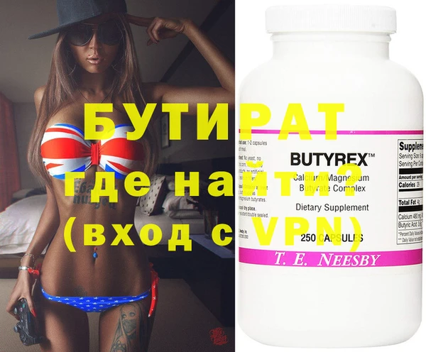 индика Няндома