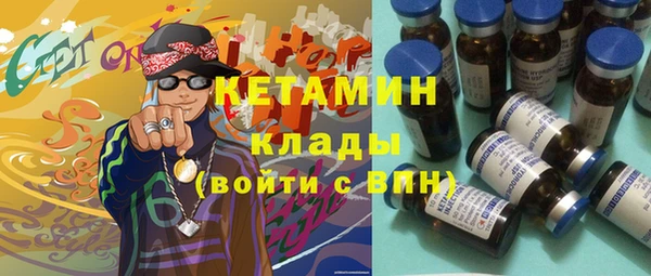 индика Няндома