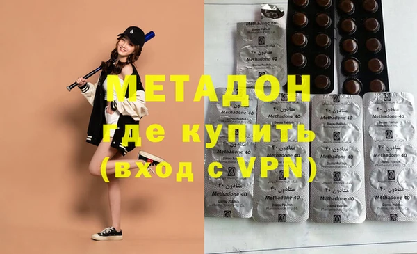 индика Няндома