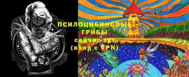 darknet клад  Рыбное  Псилоцибиновые грибы Magic Shrooms 