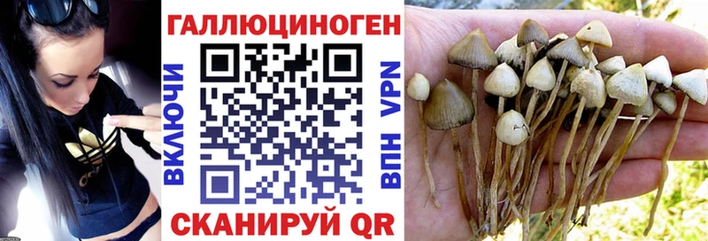 Псилоцибиновые грибы прущие грибы Рыбное